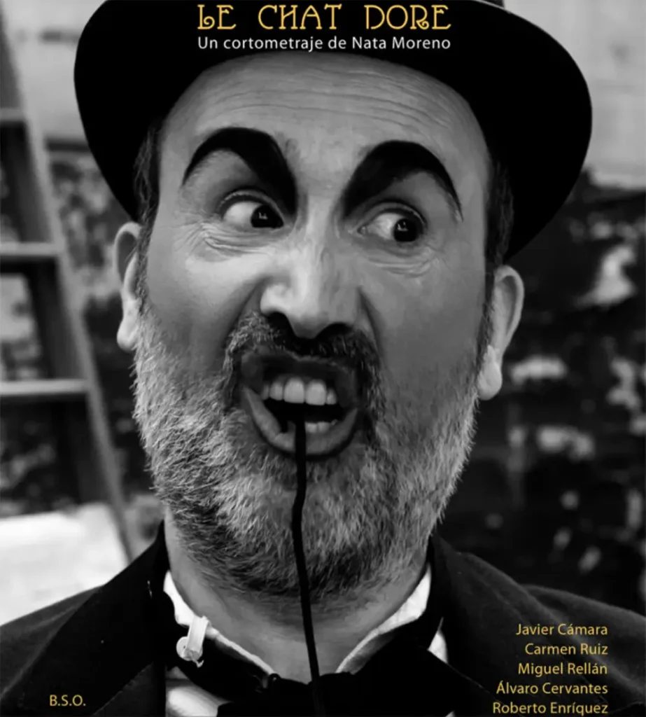 Le chat dore Alejandro García Flores Director de fotografía y videógrafo
